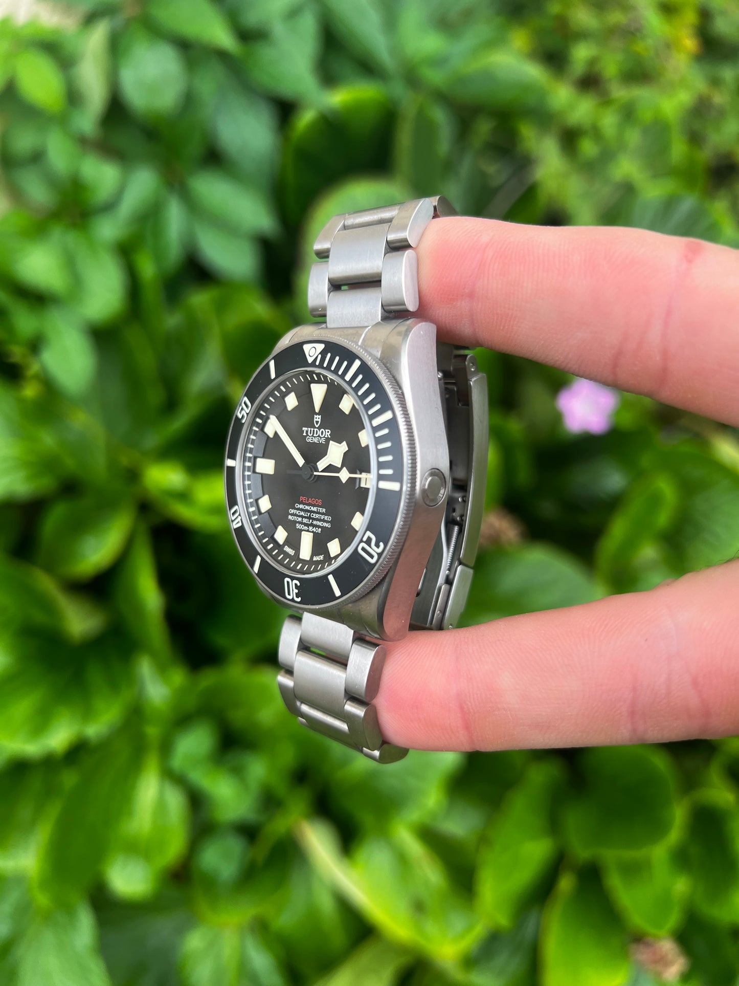 Tudor Pelagos LHD