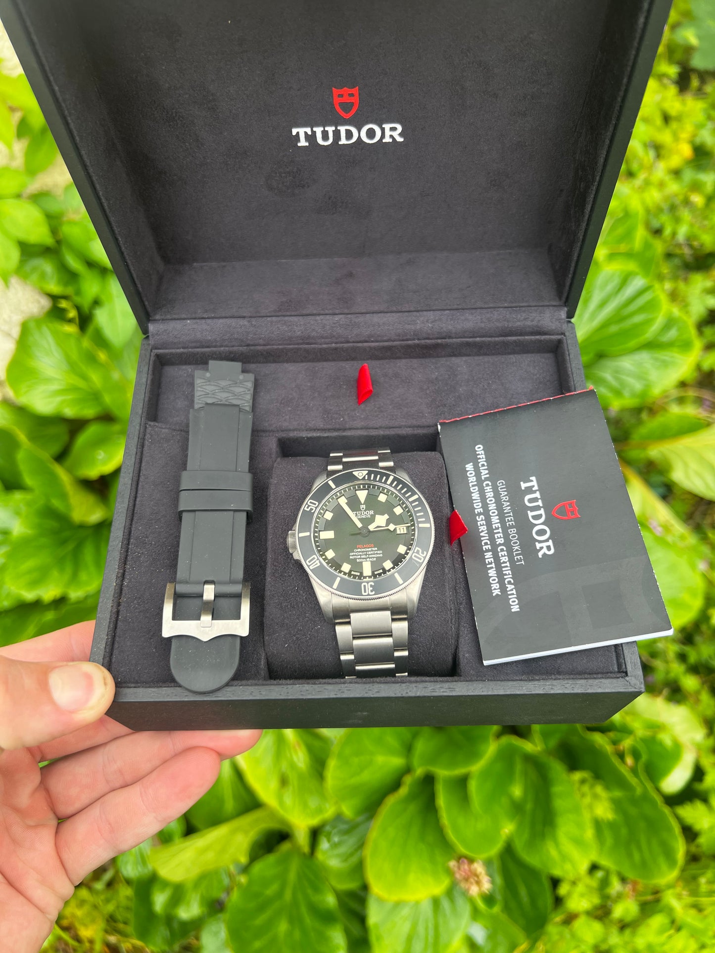 Tudor Pelagos LHD