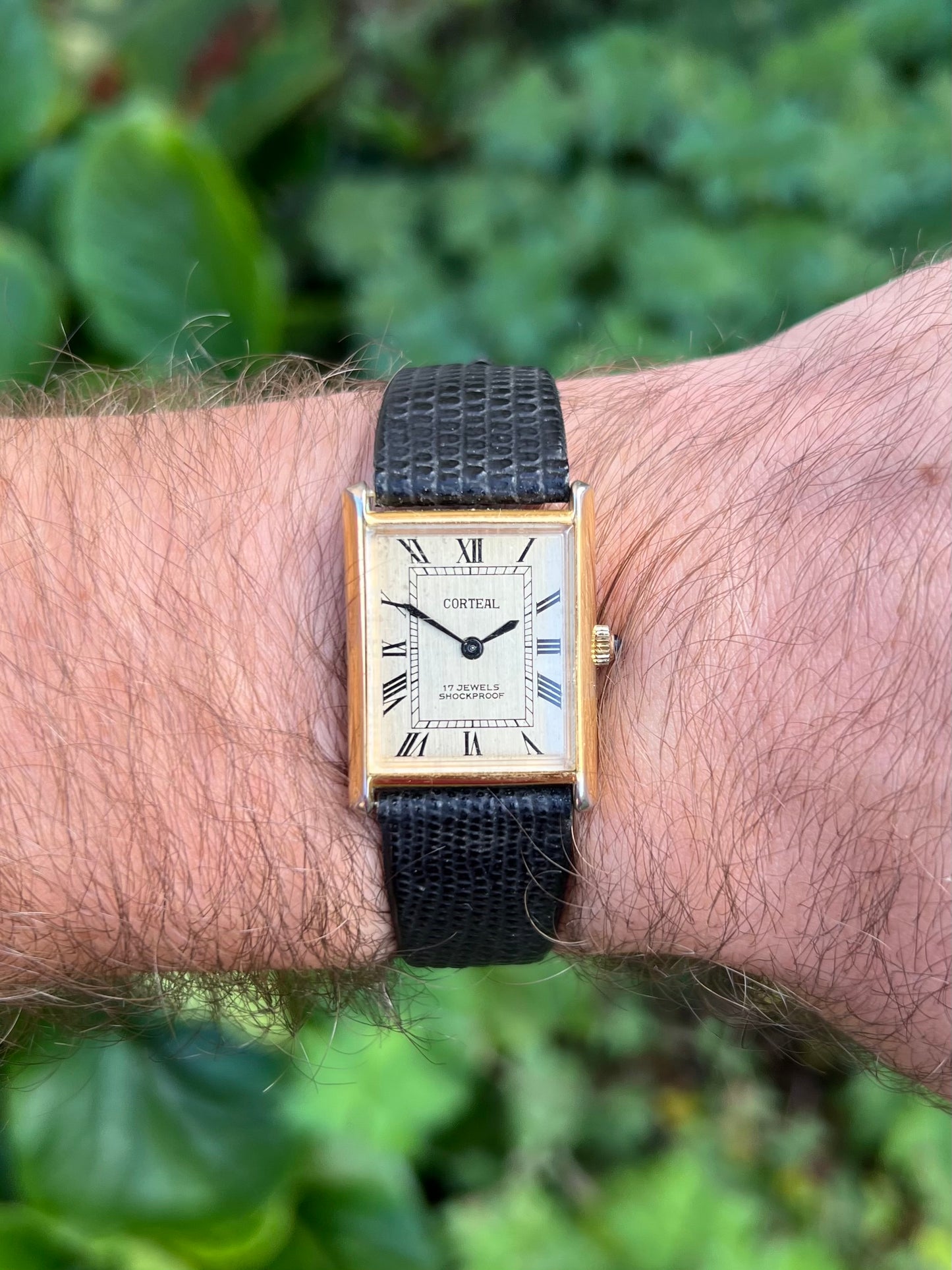 Corteal Tank. Dress Watch