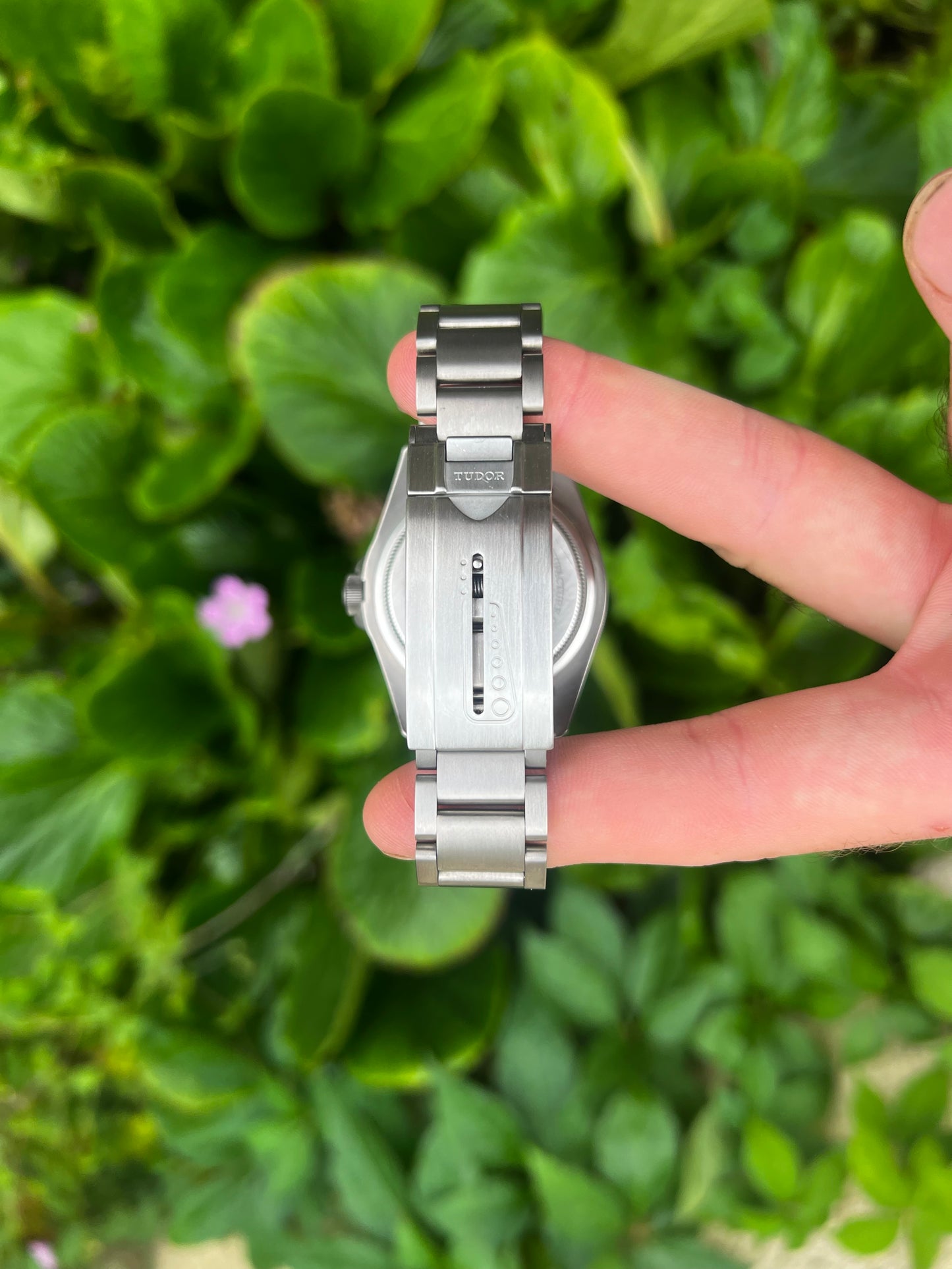 Tudor Pelagos LHD
