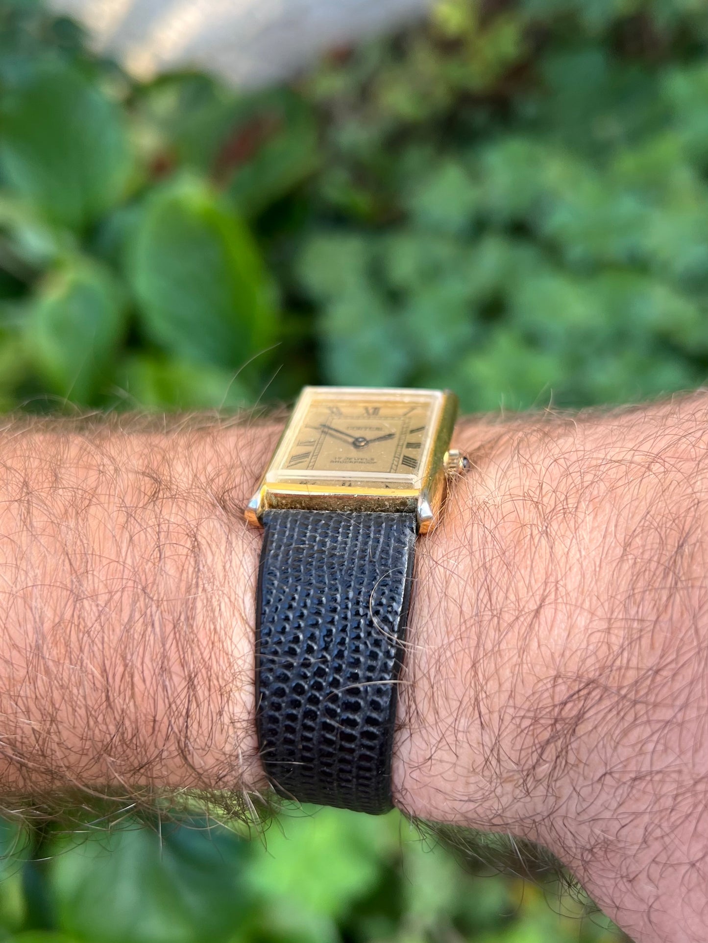 Corteal Tank. Dress Watch