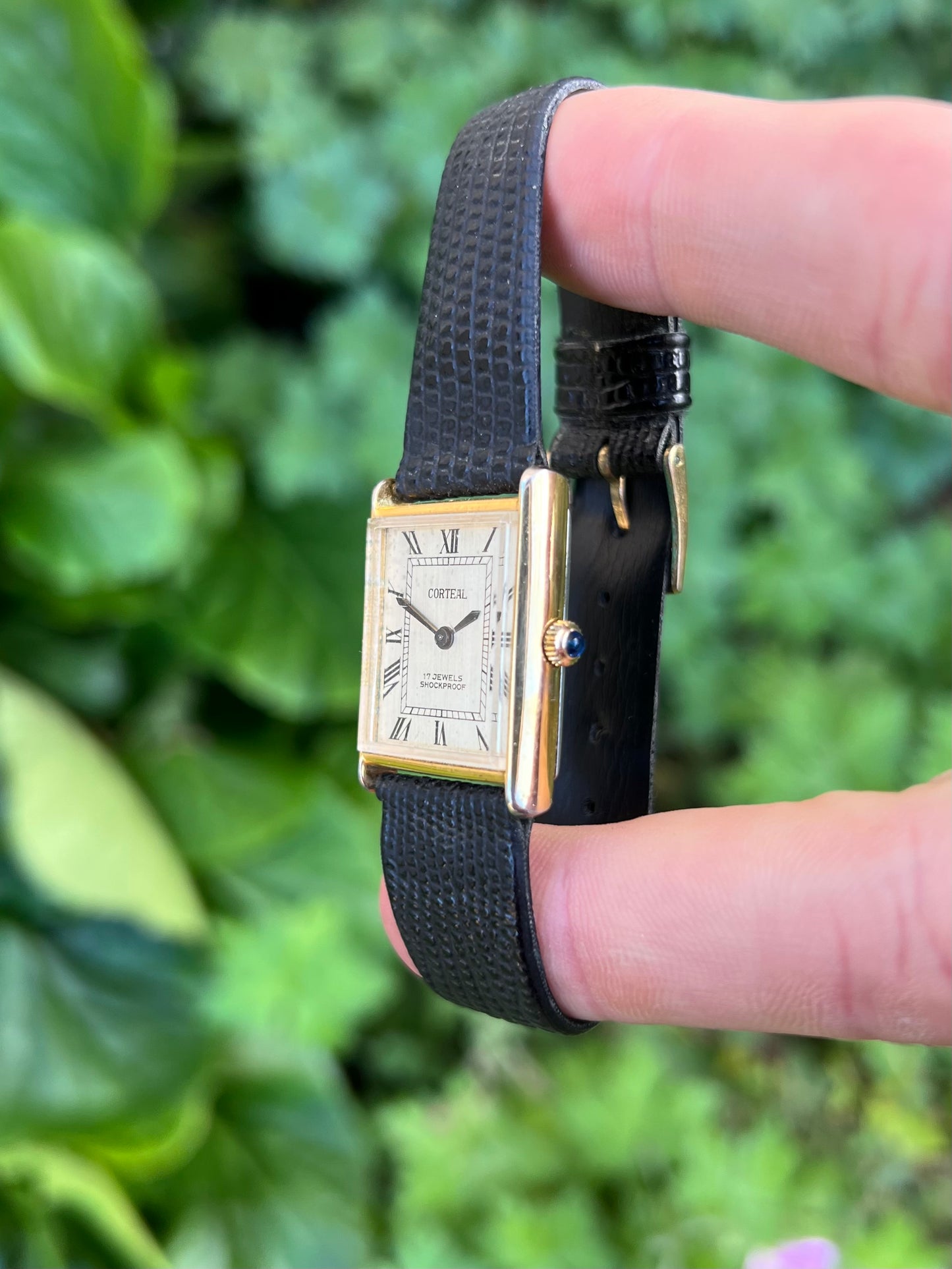 Corteal Tank. Dress Watch