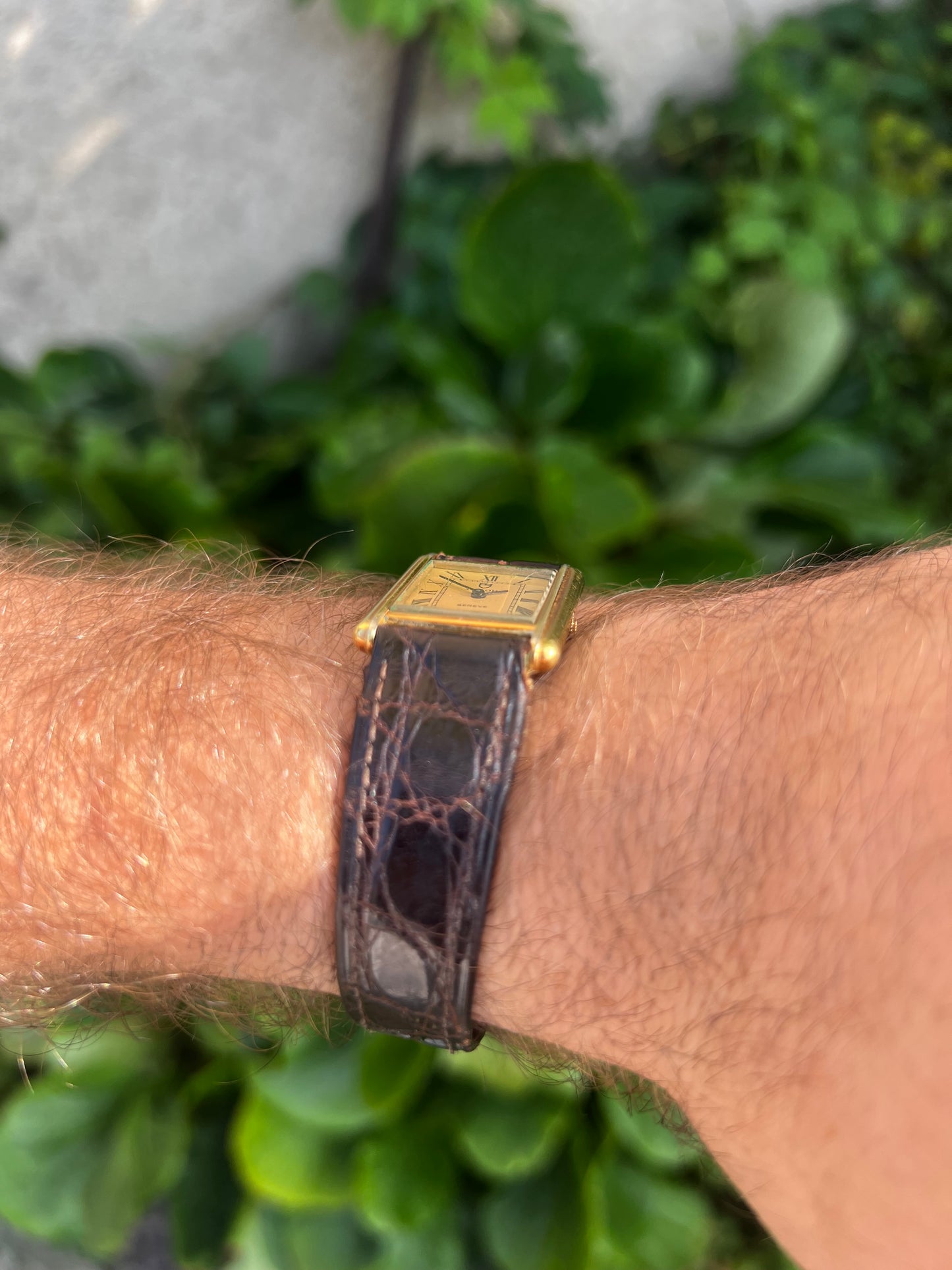 Vintage Tudor Geneve Tank Swiss